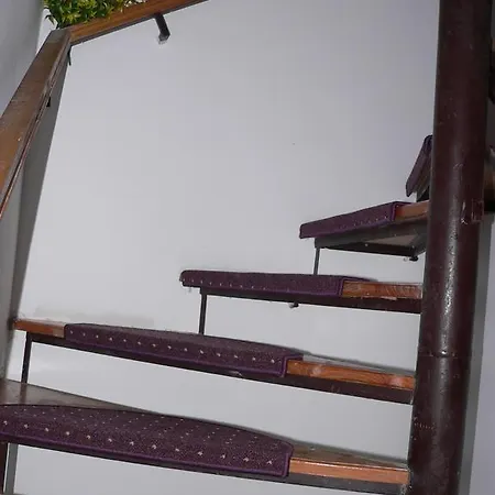 Vivien Balatoni Studio Διαμέρισμα